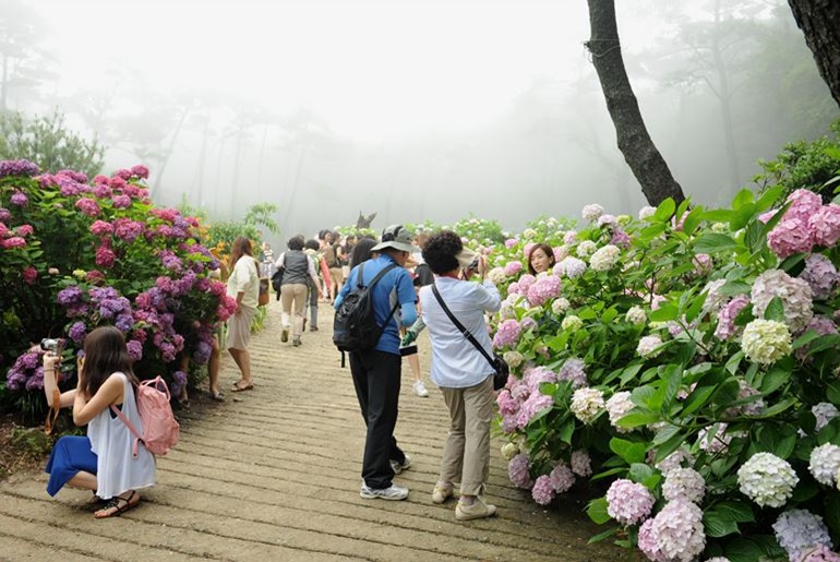 알아보기