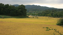 세월의 풍경,충청남도 홍성군