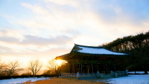 [탐사] 풍요로움의 대명사 대전 동구,충청남도 서산시