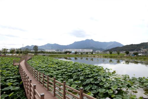 지산샛강 생태문화 축제,지역축제,축제정보