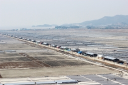 태평염전,국내여행,여행지추천