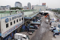 노량진 수산시장,국내여행,여행지추천